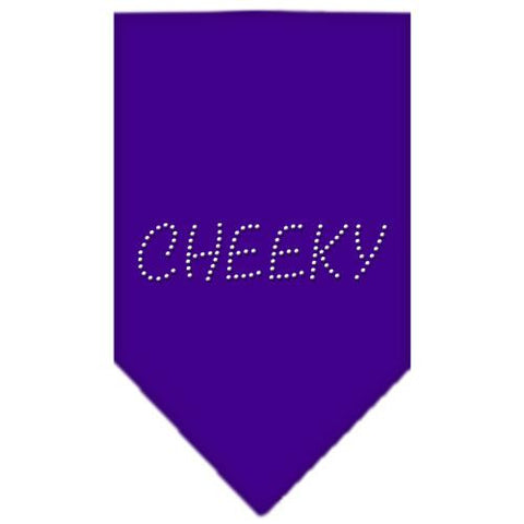 Cheeky Rhinestone Bandana Purple Small