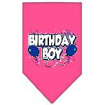 Birthday Boy Screen Print Bandana Bright Pink Small